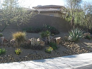 Landscape Services